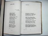 V. Palčinskaitė. Akmenys žydi. 1963 m. leid. - nuotraukos Nr. 6