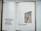 V. Palčinskaitė. Akmenys žydi. 1963 m. leid. - nuotraukos Nr. 7