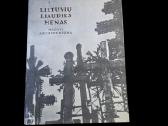 Lietuvių liaudies menas. Mažoji architektūra