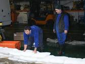 Floodsax polimeriniai maišai apsaugai nuo vandens - nuotraukos Nr. 4