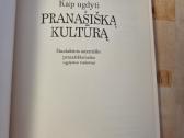 Kaip ugdyti pranašišką kultūrą - nuotraukos Nr. 2
