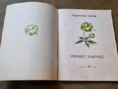 Trys pasakojimų knygos vaikams - nuotraukos Nr. 9