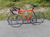 Plento sportinis vintage Carbon