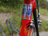 Plento sportinis vintage Carbon - nuotraukos Nr. 2