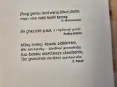 Meilė . Blaivumas . Drąsa . - nuotraukos Nr. 4