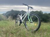 Kalnų dviratis "Interbike"