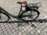 Elektrinis dviratis Batavus Torino - nuotraukos Nr. 3