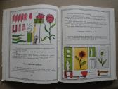 ,Įdomiųjų darbų pamokos" - nuotraukos Nr. 8