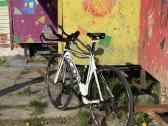 Felt TT - nuotraukos Nr. 2