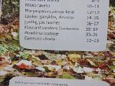 2 knygutės: Pažink aplinką su gamtukai - nuotraukos Nr. 3