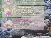 2 knygutės: Pažink aplinką su gamtukai - nuotraukos Nr. 4