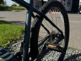 Dviratis Specialized - nuotraukos Nr. 6
