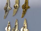 Aeroflotas