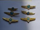Aviacijos zenkleliai
