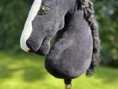 Hobby horse arkliukai - nuotraukos Nr. 5