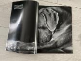 National Geographic leidinys Katės ir šunys - nuotraukos Nr. 2