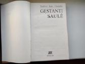 T. Jaske - Choinskis. Gęstanti saulė - nuotraukos Nr. 2