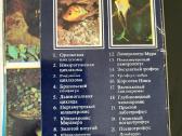 Kolekciniai atvirukai Akvariumo Žuvys - nuotraukos Nr. 3