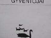 Žuvintas ir jo gyventojai