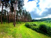 Privati stovyklavietė prie Baltųjų Lakajų - 5ha - nuotraukos Nr. 4