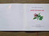 Daiva Žilytė-červokienė "Boružės skrydis" - nuotraukos Nr. 2