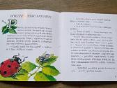 Daiva Žilytė-červokienė "Boružės skrydis" - nuotraukos Nr. 4
