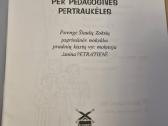 Žaidimai per pedagogines pertraukėles pradinėse kl - nuotraukos Nr. 2
