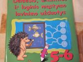 Atminties ir loginio mąstymo užduotys