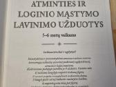 Atminties ir loginio mąstymo užduotys - nuotraukos Nr. 2