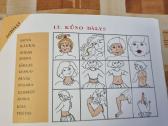 Grupuoti, žiūrėti, paaiškinti, klausti, pavadinti - nuotraukos Nr. 4