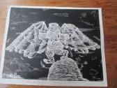 Stasys Povilaitis. Grafika kosmoso tema 2. - nuotraukos Nr. 12