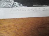 Stasys Povilaitis. Grafika kosmoso tema 2. - nuotraukos Nr. 15