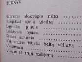 Lenktynės tęsiasi - nuotraukos Nr. 3