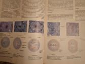 Biologija 1knyga. Sylvia S. Mader - nuotraukos Nr. 6