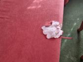 Kampinė miegama sofa su pintais porankiais - nuotraukos Nr. 5