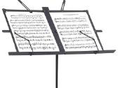 Vidaxl Natų stovas, juodas, plieninis 66-130cm - nuotraukos Nr. 2