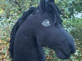 Hobby Horsing Arkliukai - nuotraukos Nr. 4