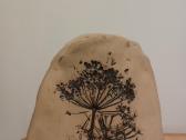 Botaniniai ir litografijos paveikslėliai - nuotraukos Nr. 13