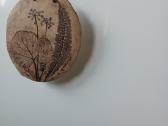 Botaniniai ir litografijos paveikslėliai - nuotraukos Nr. 18