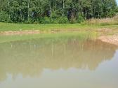 1,33ha sklypas prie Šiaulių jūros - nuotraukos Nr. 23