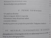 Literatūra ir laisvė - nuotraukos Nr. 4