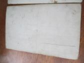 Portretinės standartinės foto. Už visas 15 eurų. - nuotraukos Nr. 6