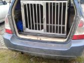 Narvas/narvai šunims/šuniui automobilyje - nuotraukos Nr. 13