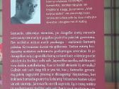 Francesc Miralles - knyga " Vabi Sabi ". - nuotraukos Nr. 5