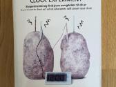 „Clock experiment (laikrodžio eksperimentas)