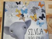 Silvija ieško spalvų