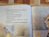 Silvija ieško spalvų - nuotraukos Nr. 3