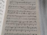 Pianisto biblioteka XVII - nuotraukos Nr. 2