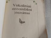 Vokaliniai ansambliai jaunimui - nuotraukos Nr. 2