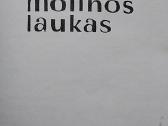 Motinos laukas - nuotraukos Nr. 2